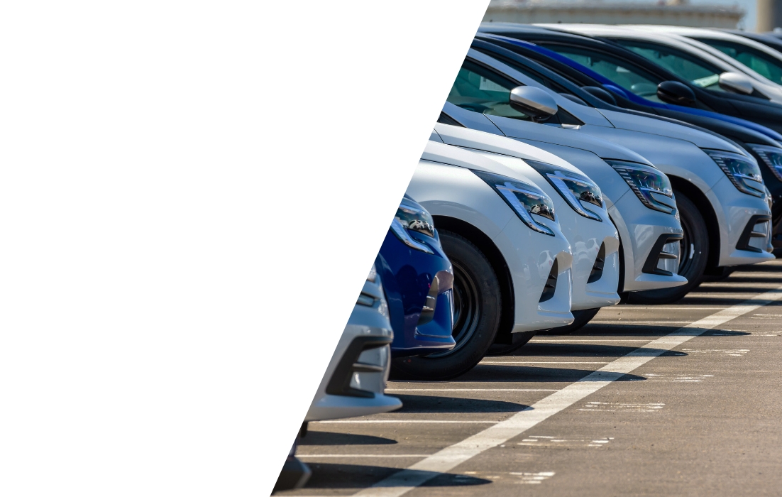 Only the Best — Quality You Can See and Feel